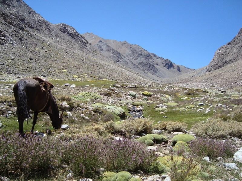 Hurtado Hacienda Los Andes 빌라 외부 사진