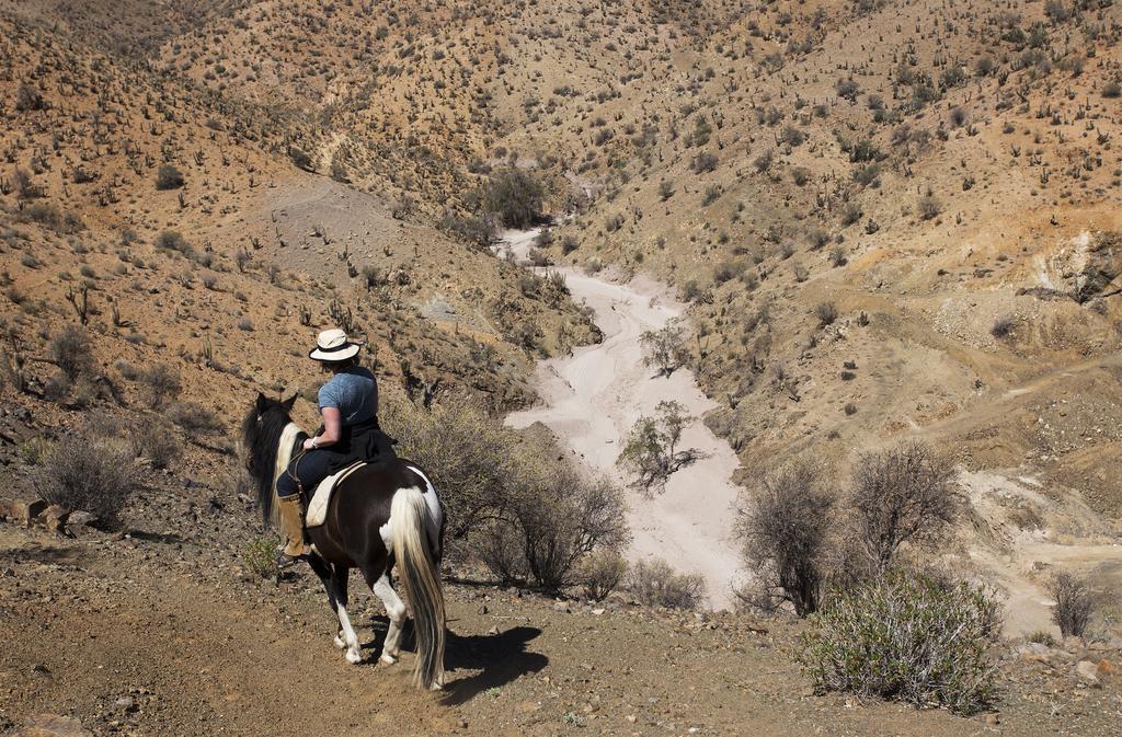 Hurtado Hacienda Los Andes 빌라 외부 사진